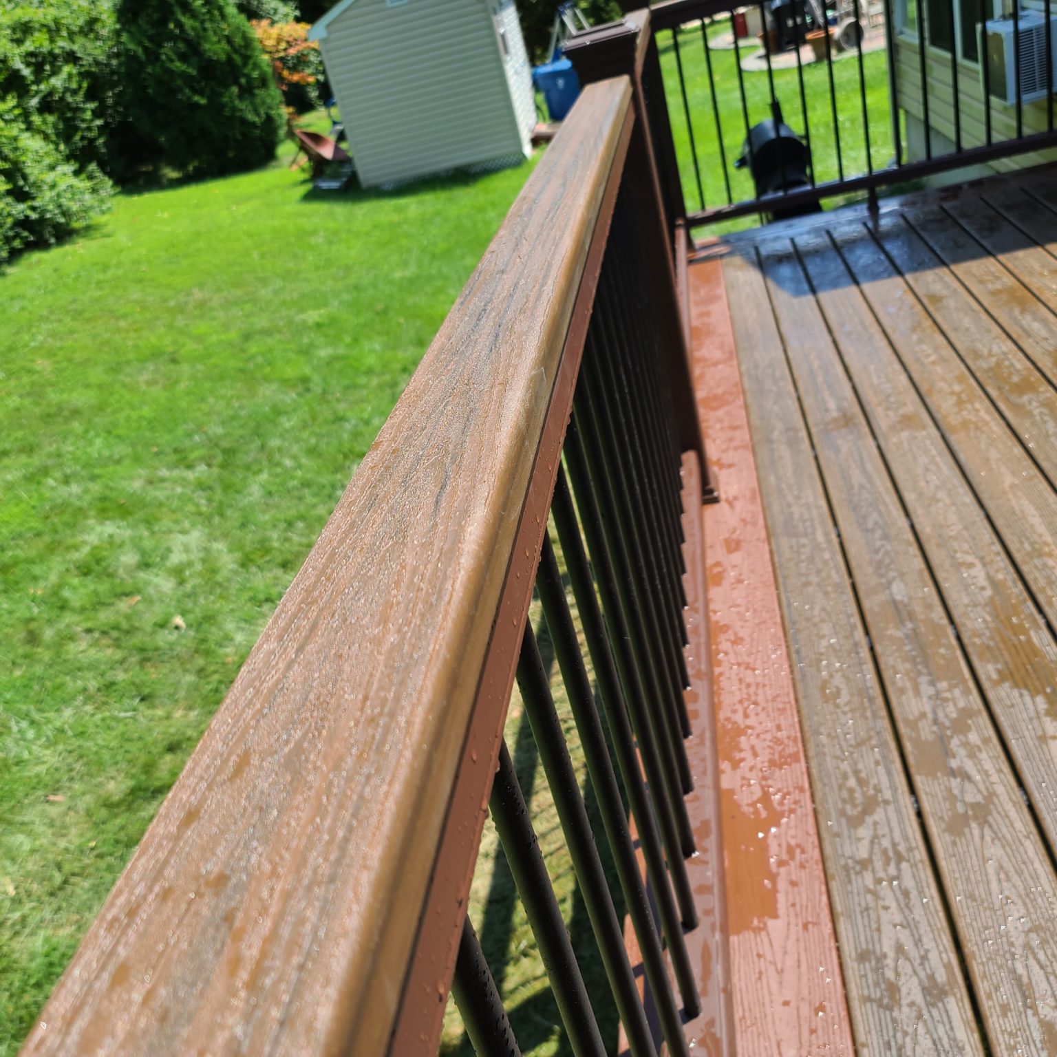 Trex Decks - Deck Masters